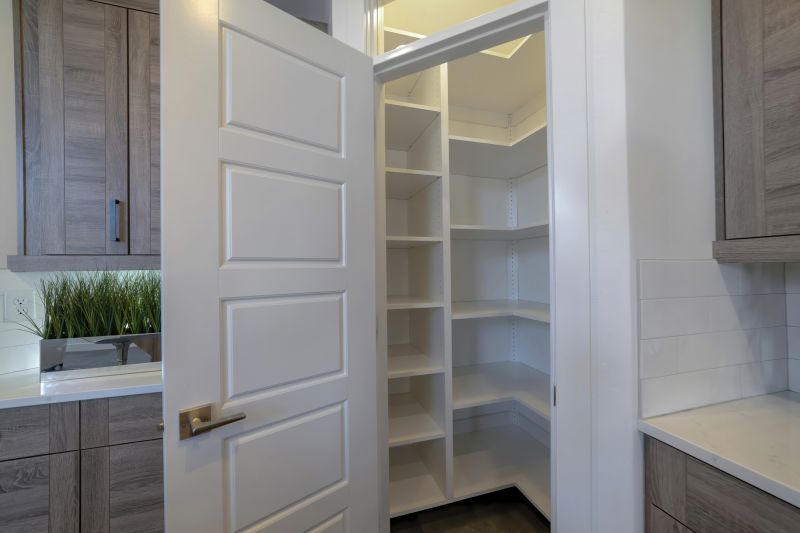 Elegant Pantry Designs