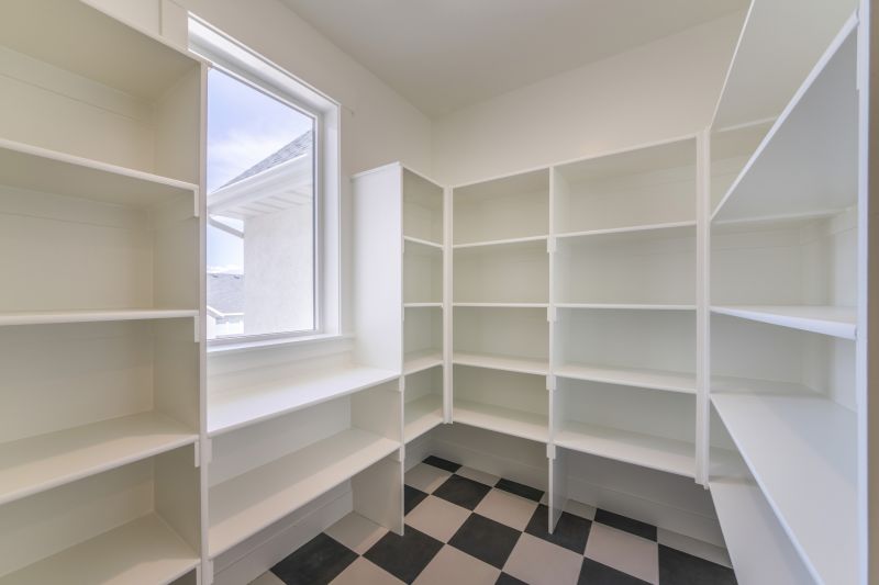 Modern Custom Pantries